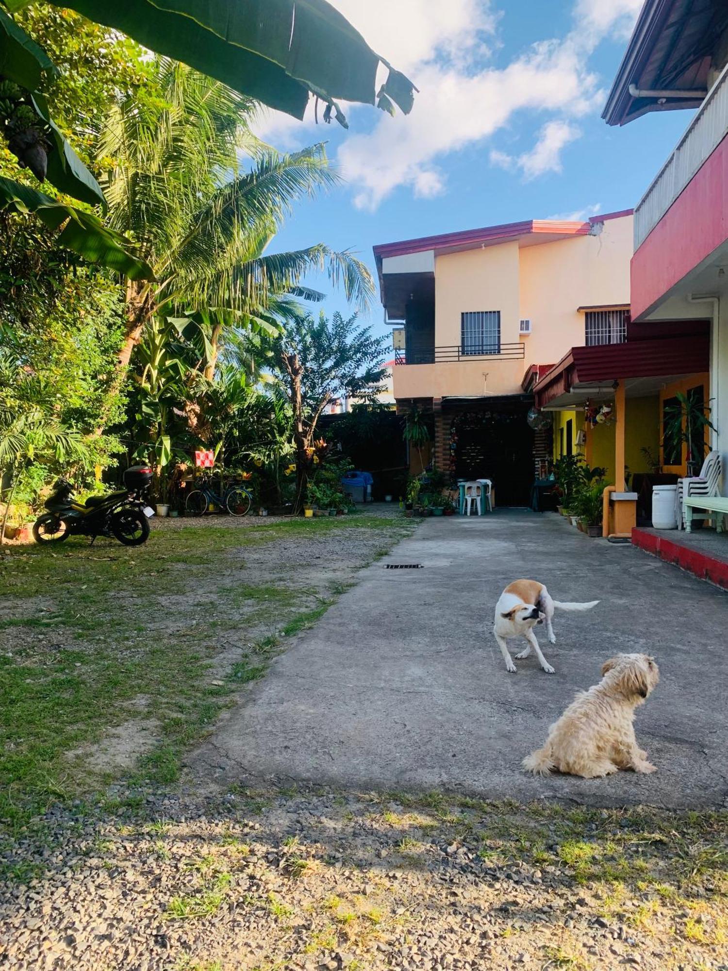 Perlies Inn Tanay Barkada House Exteriér fotografie